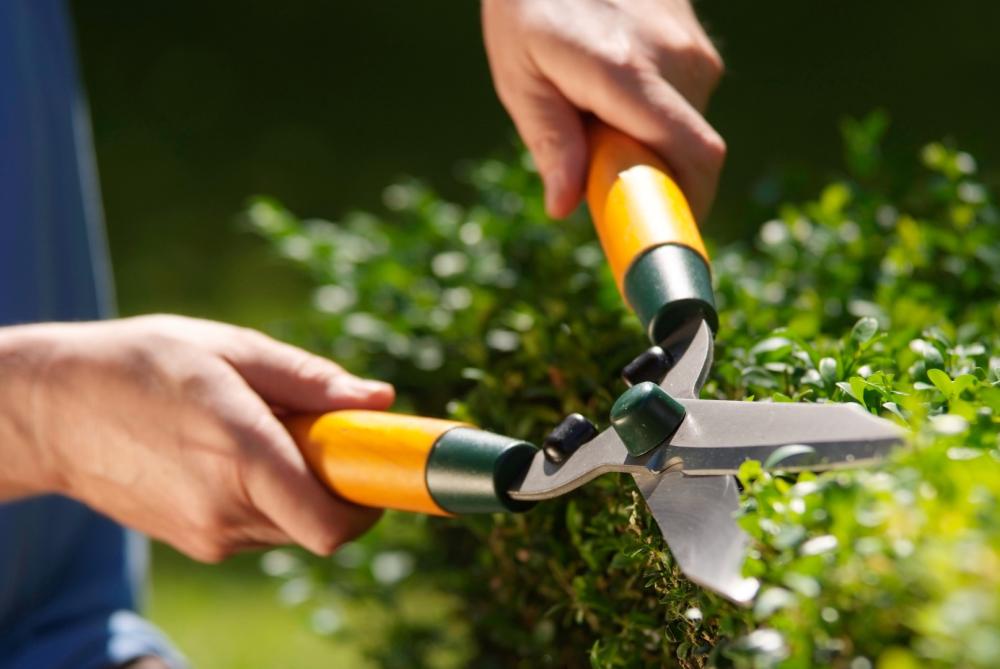 Entretien jardin près de Pledran