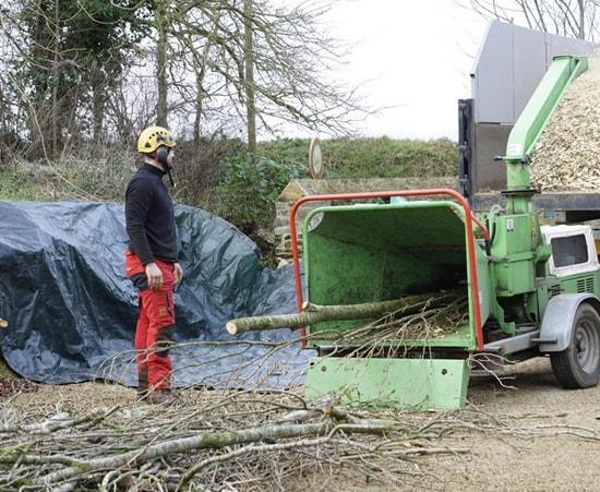 Évacuation bois branches souche près de Pledran