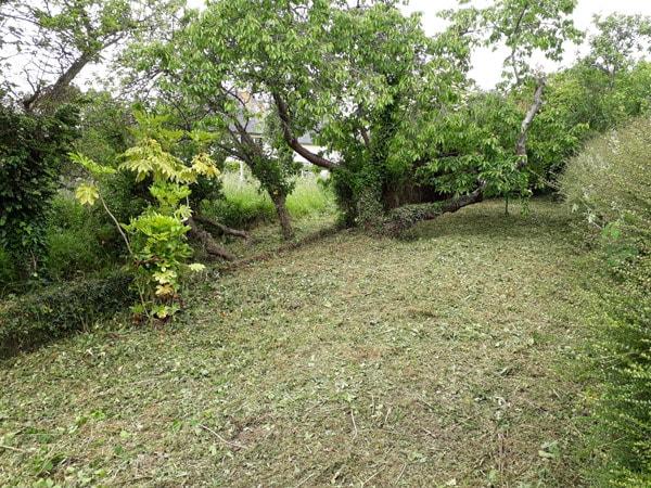 Débroussaillage de terrain près de Pledran