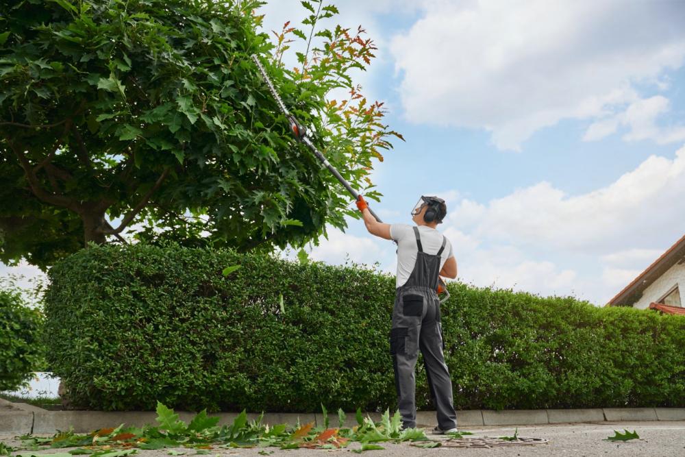 Taille d'arbre près de Pledran